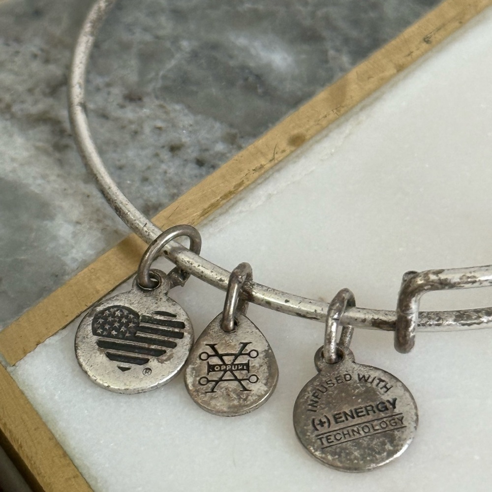 Alex and Ani 2016 “ Friend “ Friendship Silver-tone Adjustable Bangle Bracelet - Picture 3 of 7